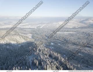 background winter nature forest 0011